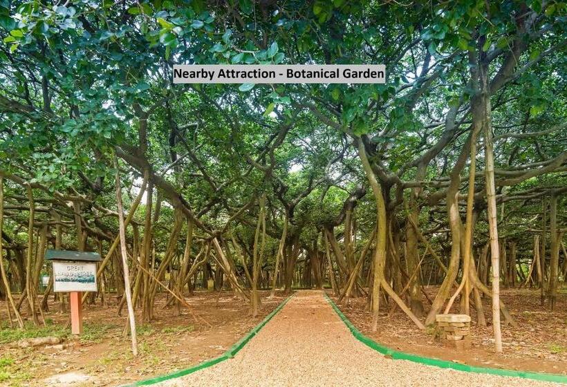 Super Hotel O Qualia Inn Kondapur Near Botanical Garden