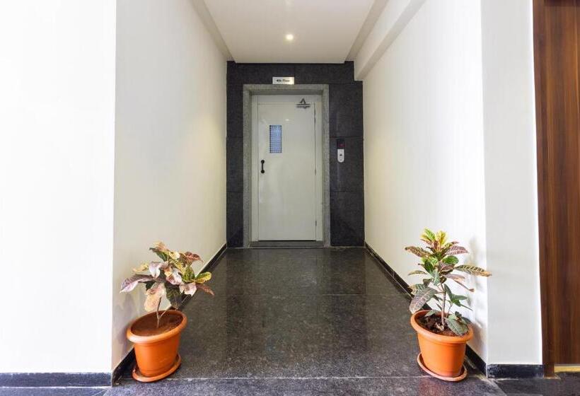 Super Hotel O Qualia Inn Kondapur Near Botanical Garden