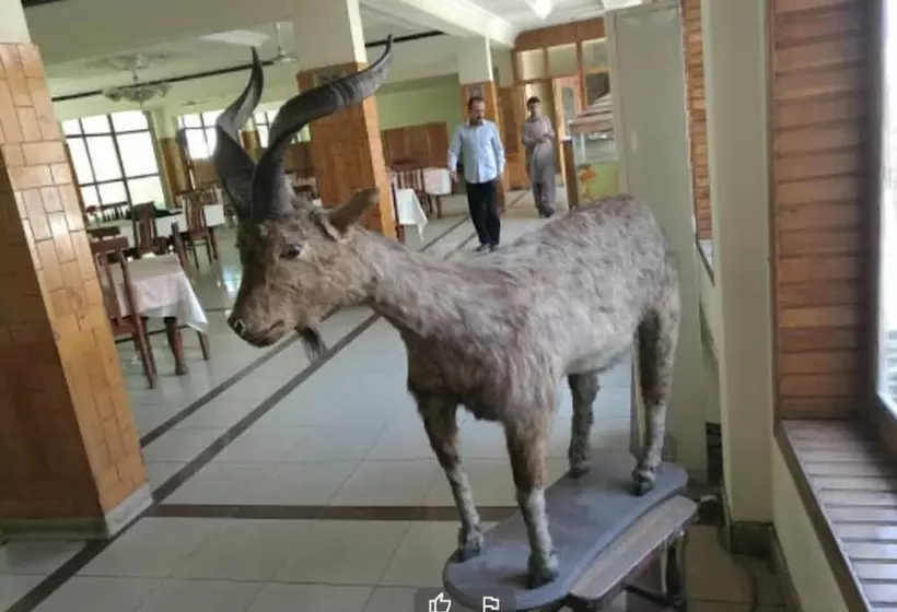 هتل Shaheen International