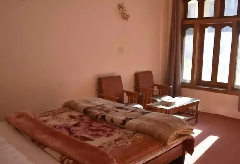 هتل Shaheen International