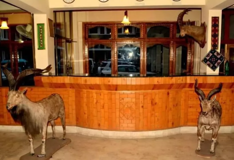 هتل Shaheen International