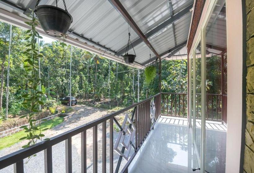 ペンション Oyo Home 65982 Graceful Stay Wynvilla Holidays