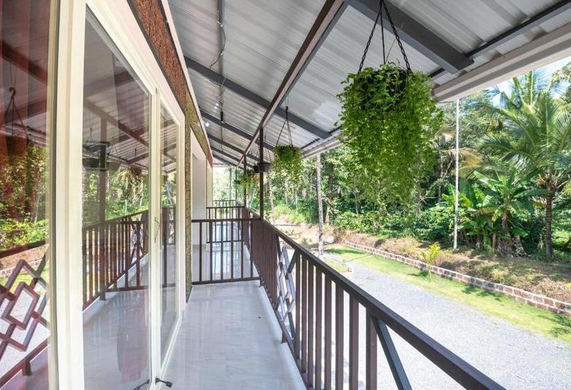 ペンション Oyo Home 65982 Graceful Stay Wynvilla Holidays