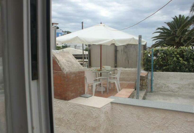 住宿加早餐 Camere Dieci Maggio Beb Dory, Nemo, Guizzo