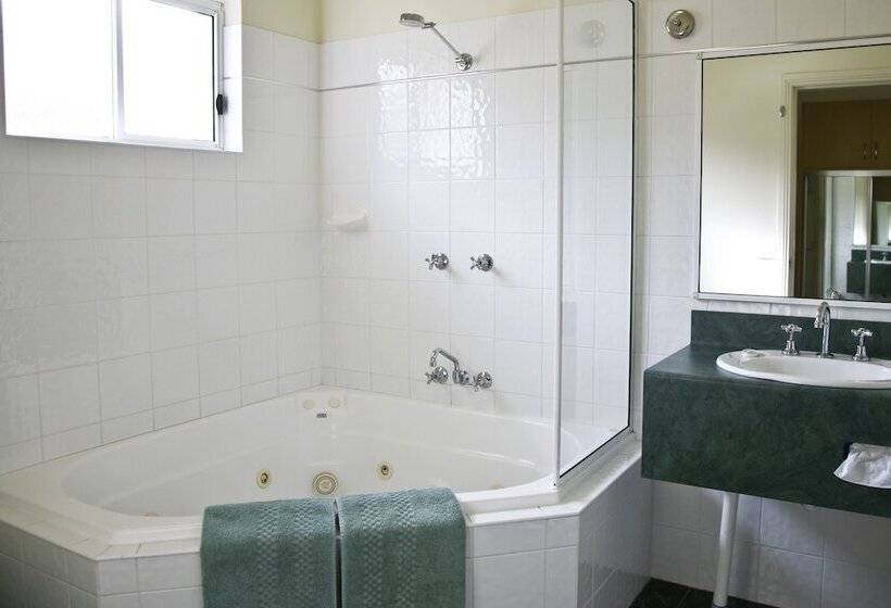 מוטל Boulevarde Motor Inn