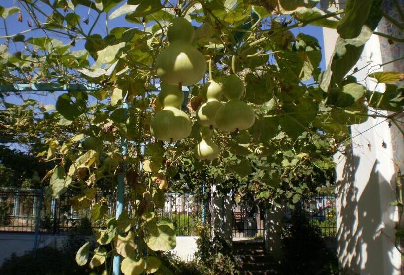 پانسیون песента на морето