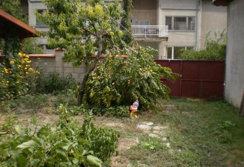 پانسیون песента на морето