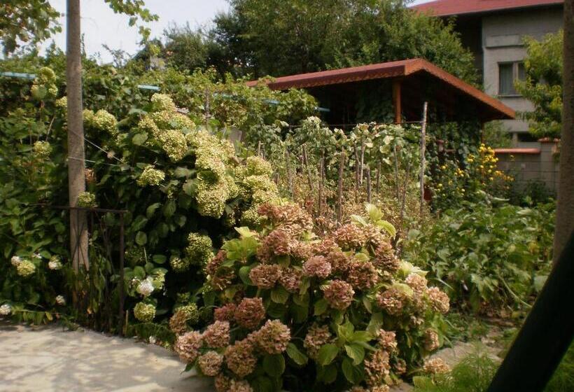 پانسیون песента на морето