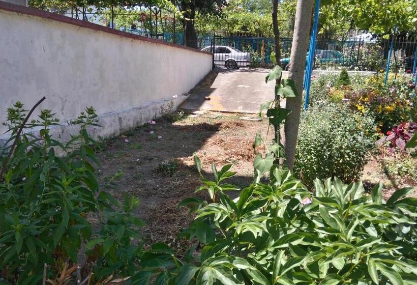 پانسیون песента на морето