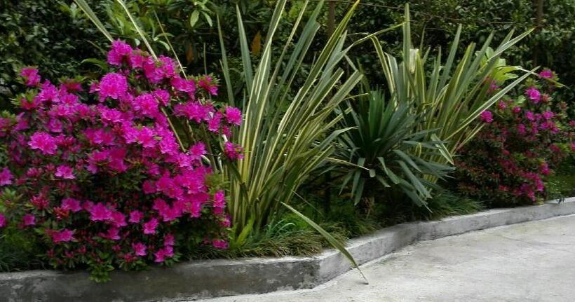 پانسیون Guest House Imeda