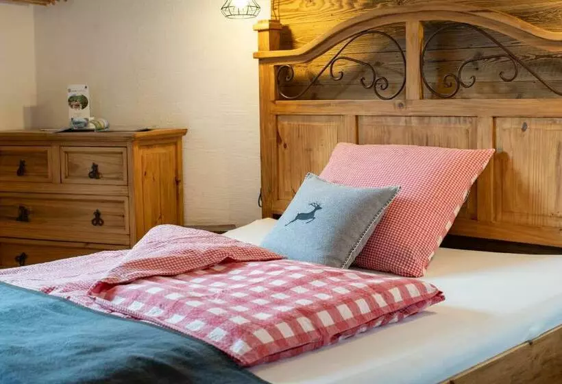 پانسیون Haus Ditzer   Villa Theresia