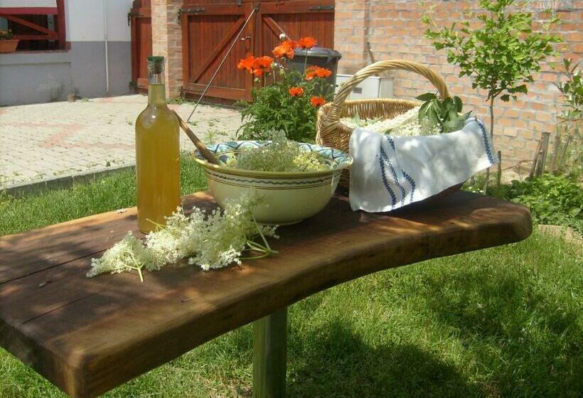 بنسيون Nora Porta