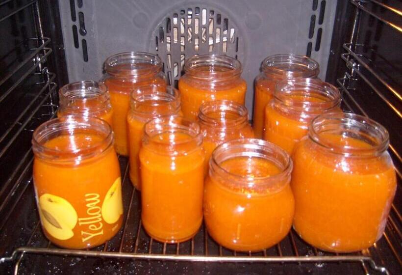 بنسيون Nora Porta