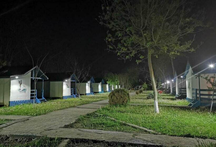 منتجع Satul De Vacanta Campo Euro Club