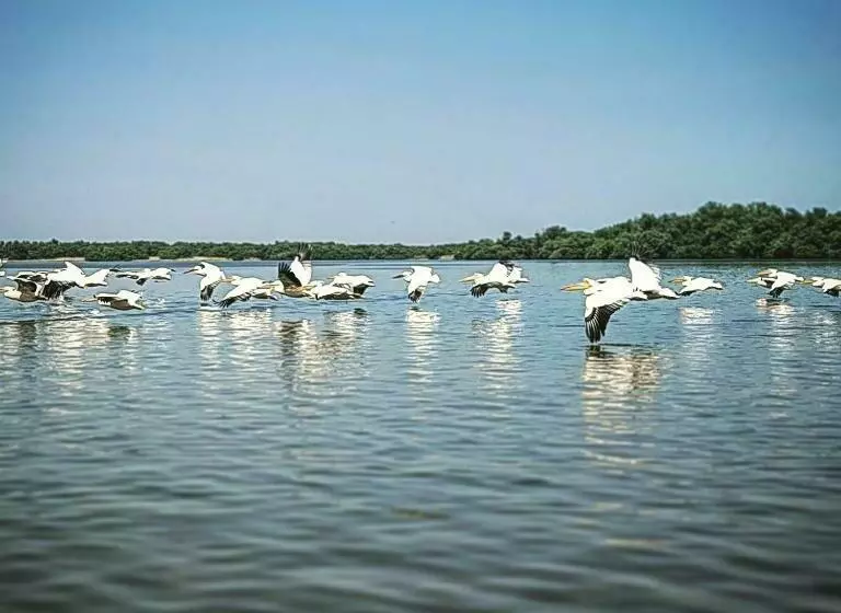 استراحتگاه Satul De Vacanta Campo Euro Club