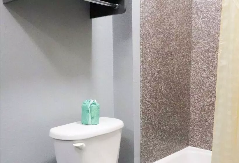 酒店 Americas Best Value Inn And Suites Bush International Airport