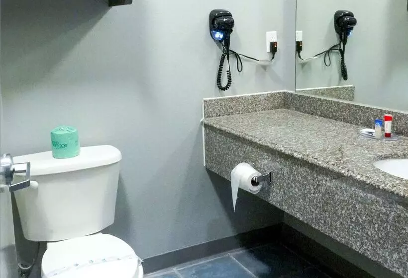 酒店 Americas Best Value Inn And Suites Bush International Airport