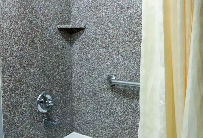 酒店 Americas Best Value Inn And Suites Bush International Airport