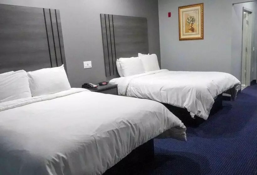 酒店 Americas Best Value Inn And Suites Bush International Airport