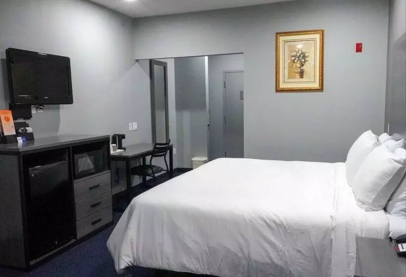 酒店 Americas Best Value Inn And Suites Bush International Airport