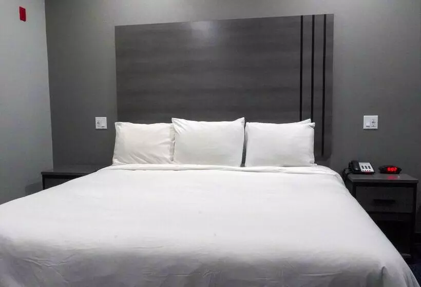 酒店 Americas Best Value Inn And Suites Bush International Airport