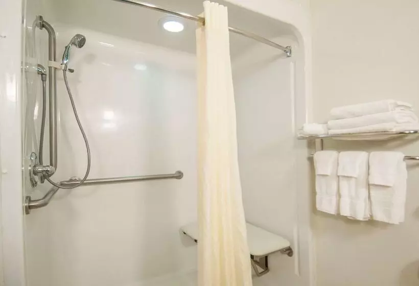 酒店 Best Western Plus Blue Angel Inn