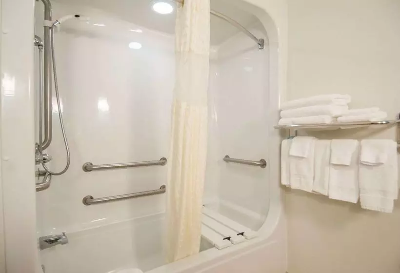 酒店 Best Western Plus Blue Angel Inn