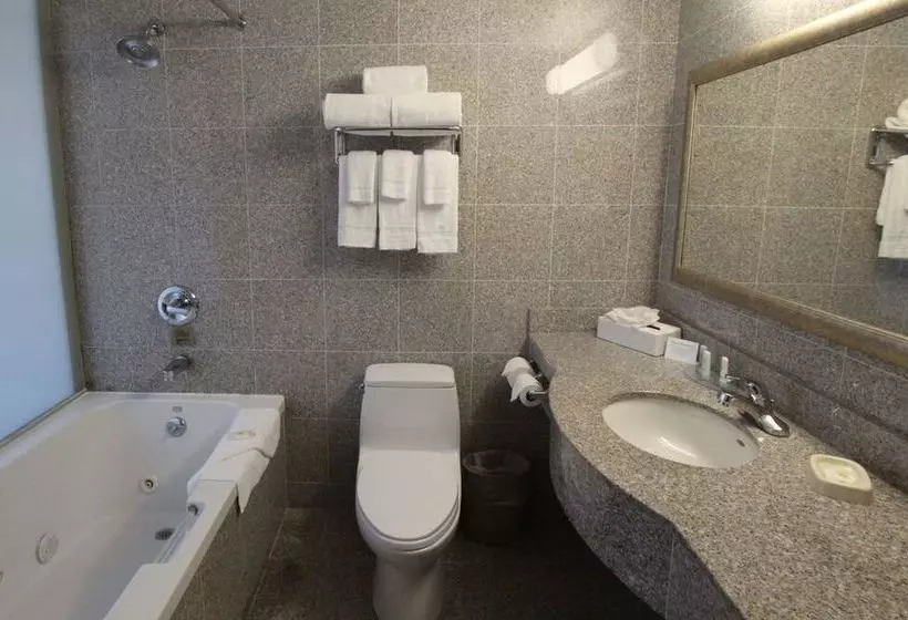 ホテル Red Lion Inn and Suites Brooklyn