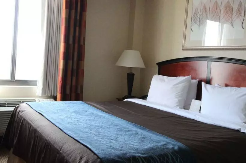 ホテル Red Lion Inn and Suites Brooklyn