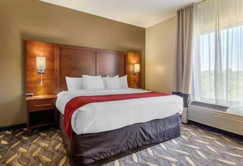 호텔 Comfort Suites