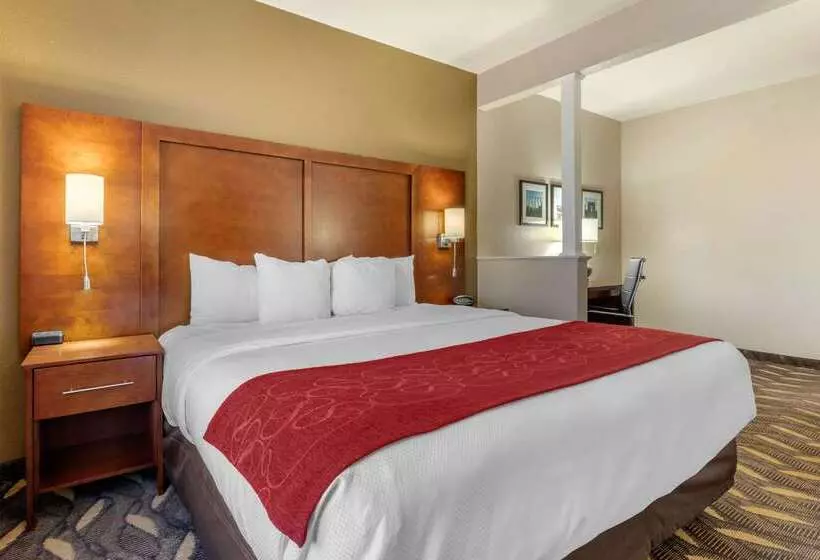 호텔 Comfort Suites