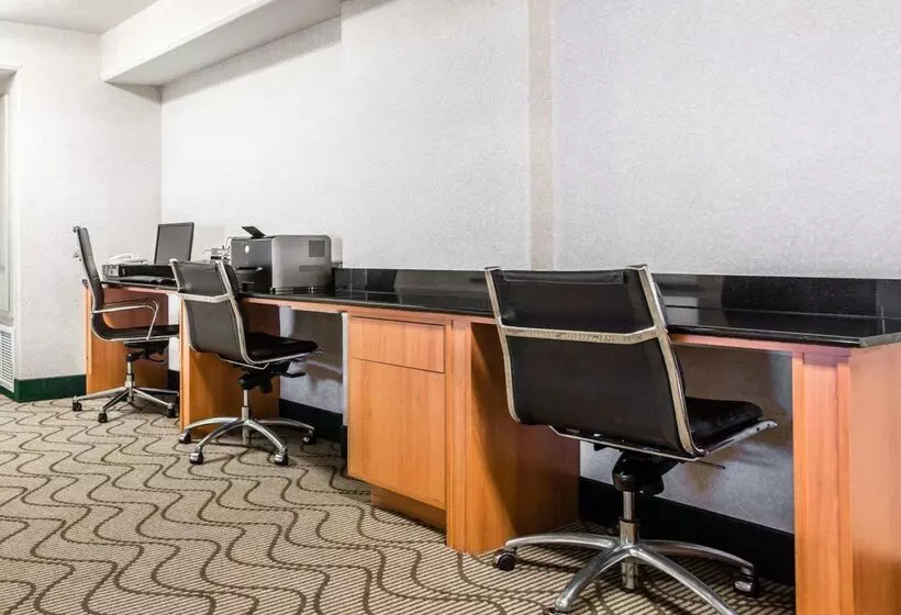 酒店 Comfort Suites Victorville Hesperia