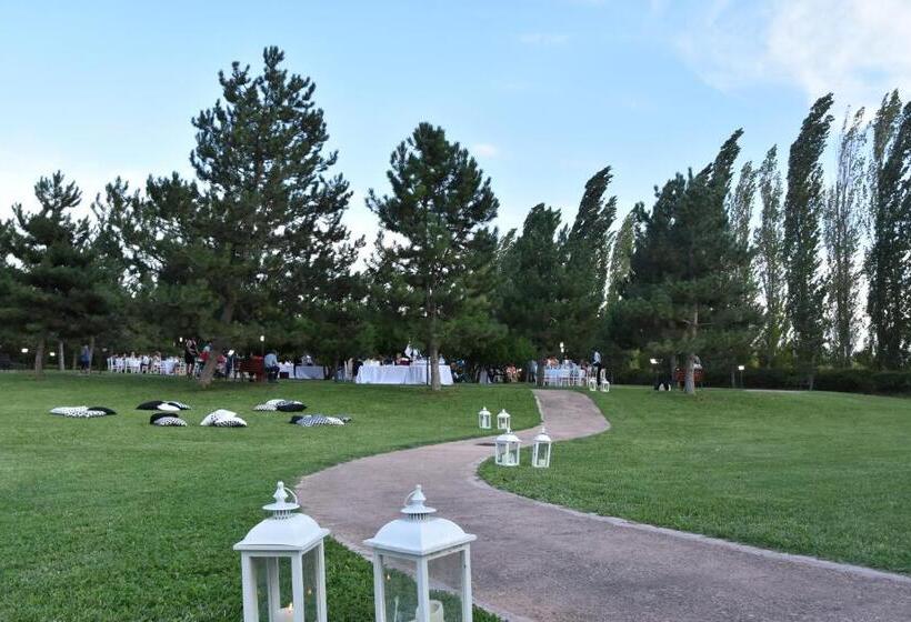 בית מלון כפרי Delfina Palace