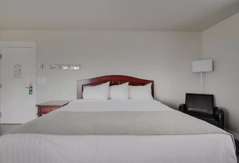 酒店 Hôtel Et Pavillons Le Petit Manoir Du Casino