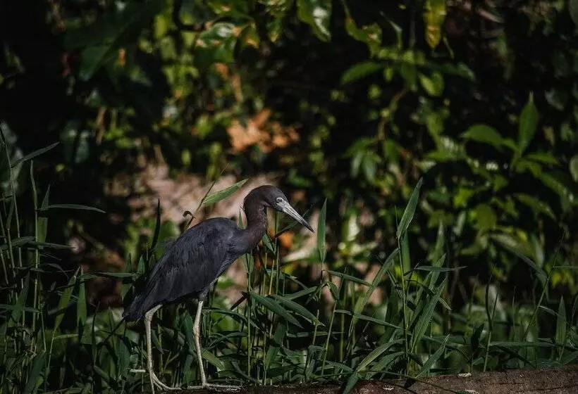 Hôtel Mawamba Lodge