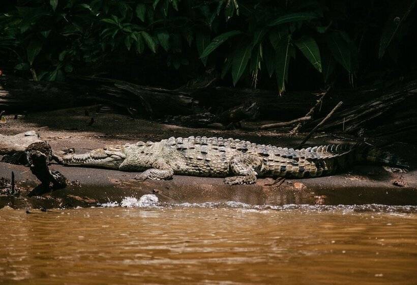 فندق Mawamba Lodge