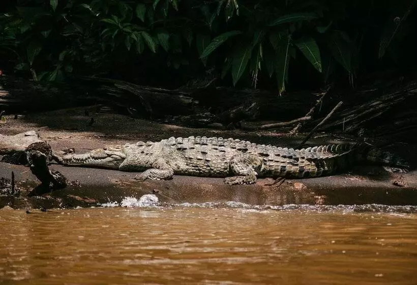 Hôtel Mawamba Lodge
