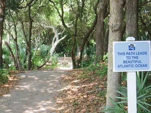 호텔 Ocean Vacation Rentals New Smyrna Beach