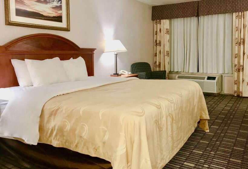 酒店 Quality Inn Tucumcari