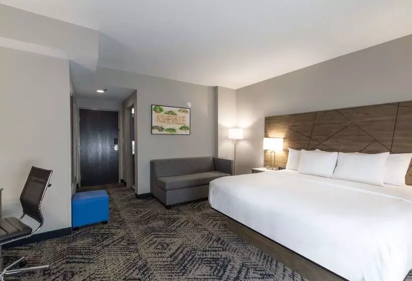 ホテル Rodeway Inn & Suites Near Outlet Mall Asheville