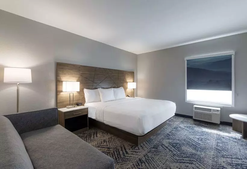 ホテル Rodeway Inn & Suites Near Outlet Mall Asheville