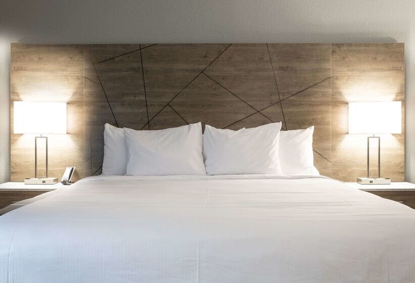 فندق Rodeway Inn & Suites Near Outlet Mall  Asheville