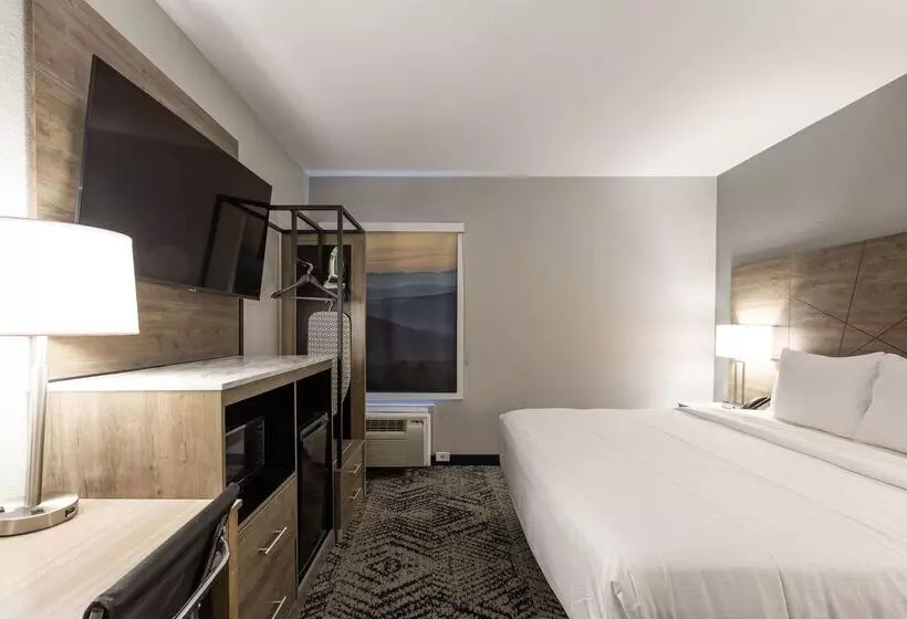 ホテル Rodeway Inn & Suites Near Outlet Mall Asheville