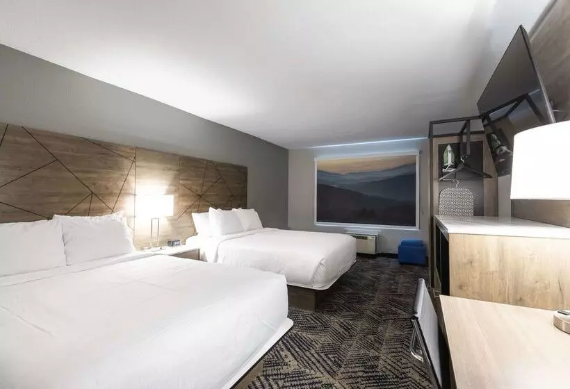 ホテル Rodeway Inn & Suites Near Outlet Mall Asheville