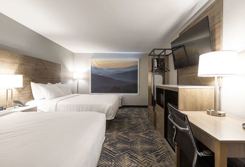 فندق Rodeway Inn & Suites Near Outlet Mall  Asheville