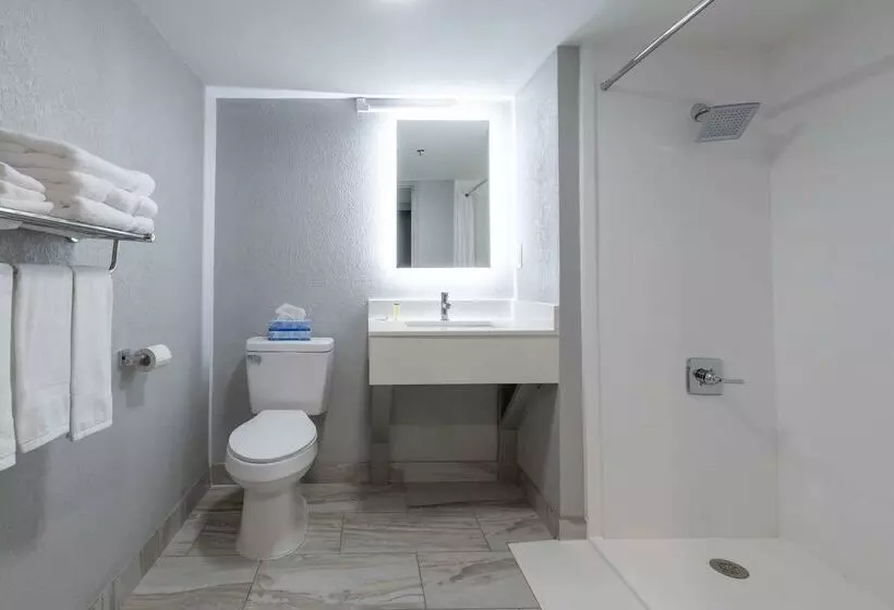 ホテル Rodeway Inn & Suites Near Outlet Mall Asheville