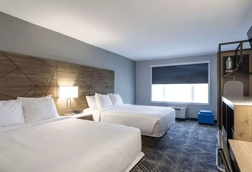 ホテル Rodeway Inn & Suites Near Outlet Mall Asheville