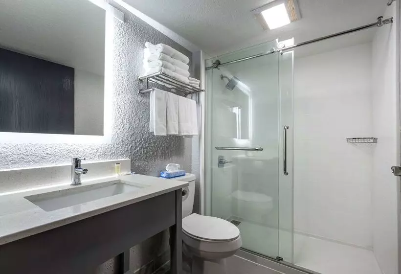 ホテル Rodeway Inn & Suites Near Outlet Mall Asheville