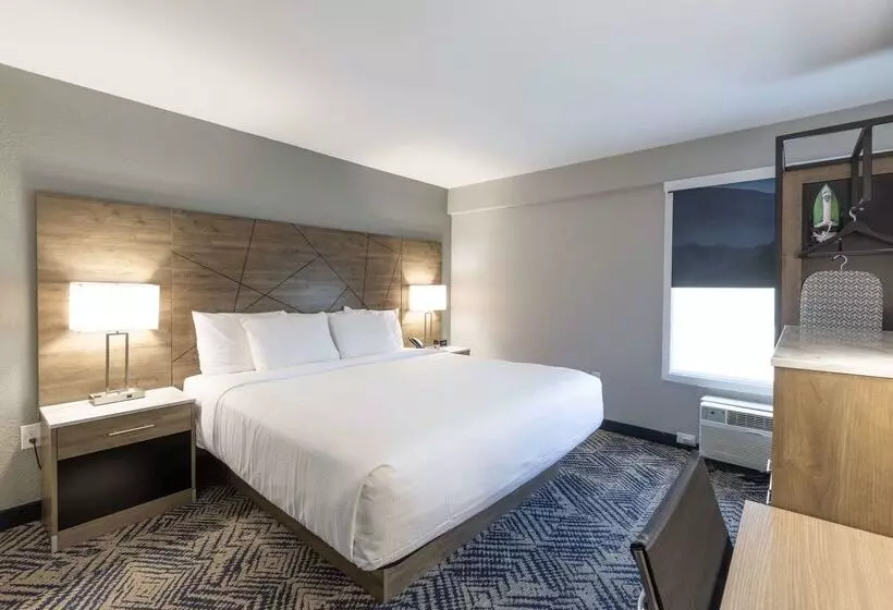 ホテル Rodeway Inn & Suites Near Outlet Mall Asheville