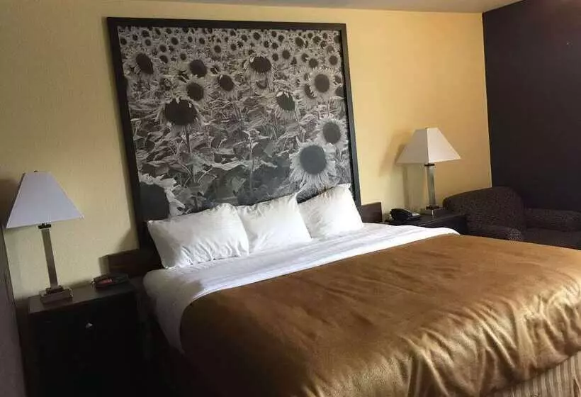 호텔 Super 8 By Wyndham Des Moines